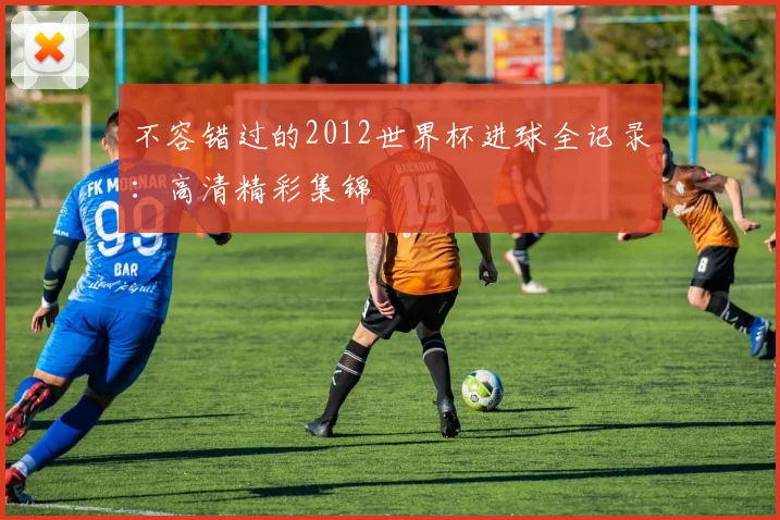 不容错过的2012世界杯进球全记录：高清精彩集锦