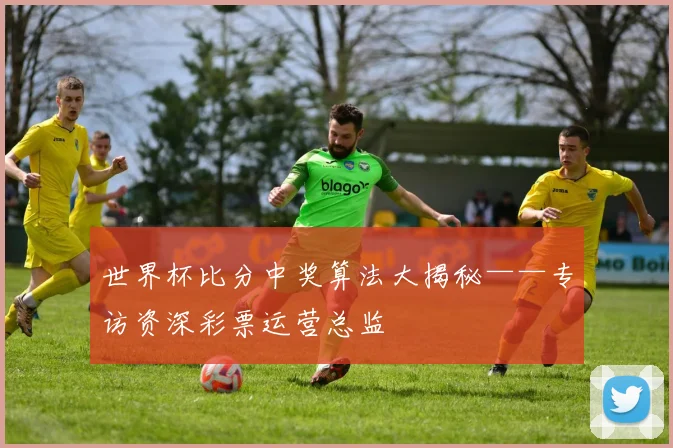 世界杯比分中奖算法大揭秘——专访资深彩票运营总监